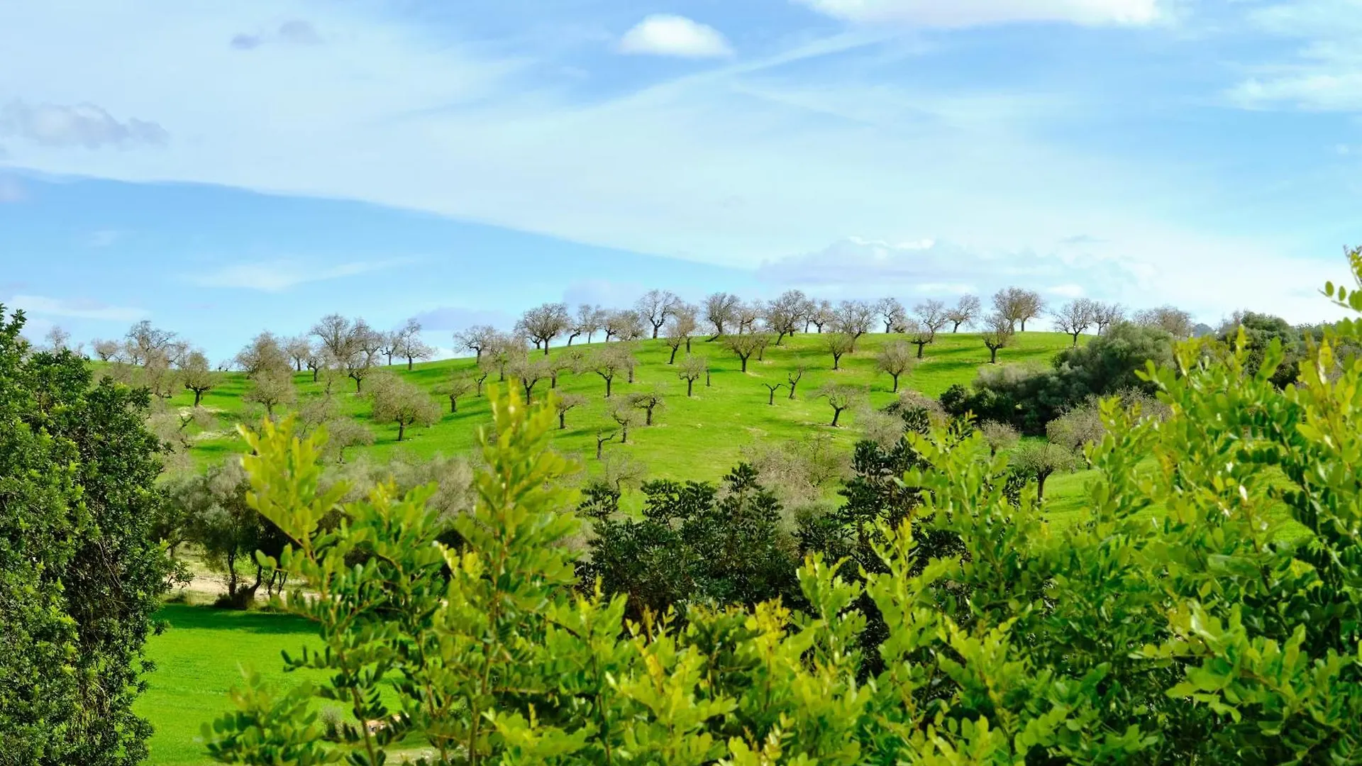 Finca Sa Bastida Luxury Retreat & Spa Adults Only Sant Joan Spanien